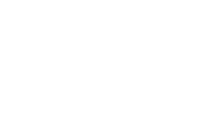 11月