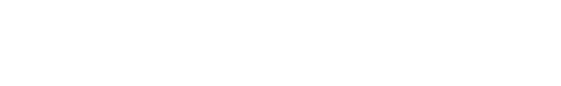 Digital Brouchure